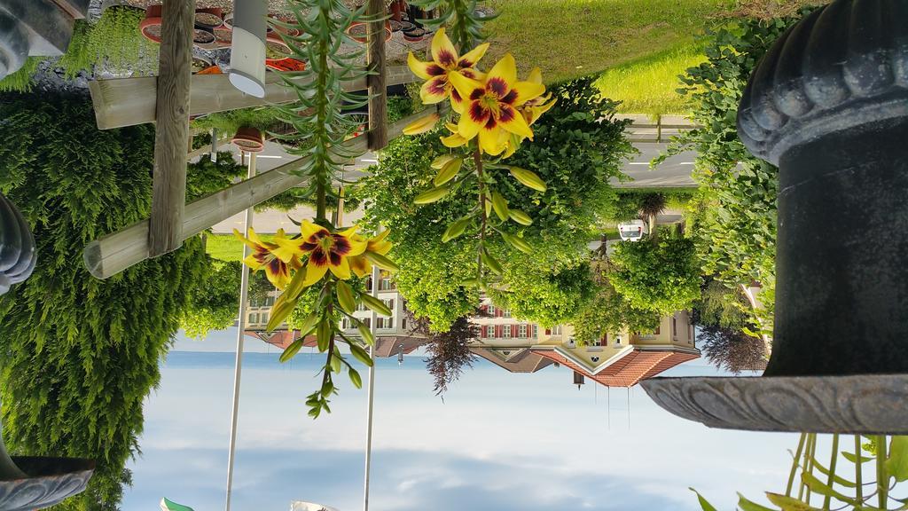 Gasthof Krone Wolfhalden Dış mekan fotoğraf